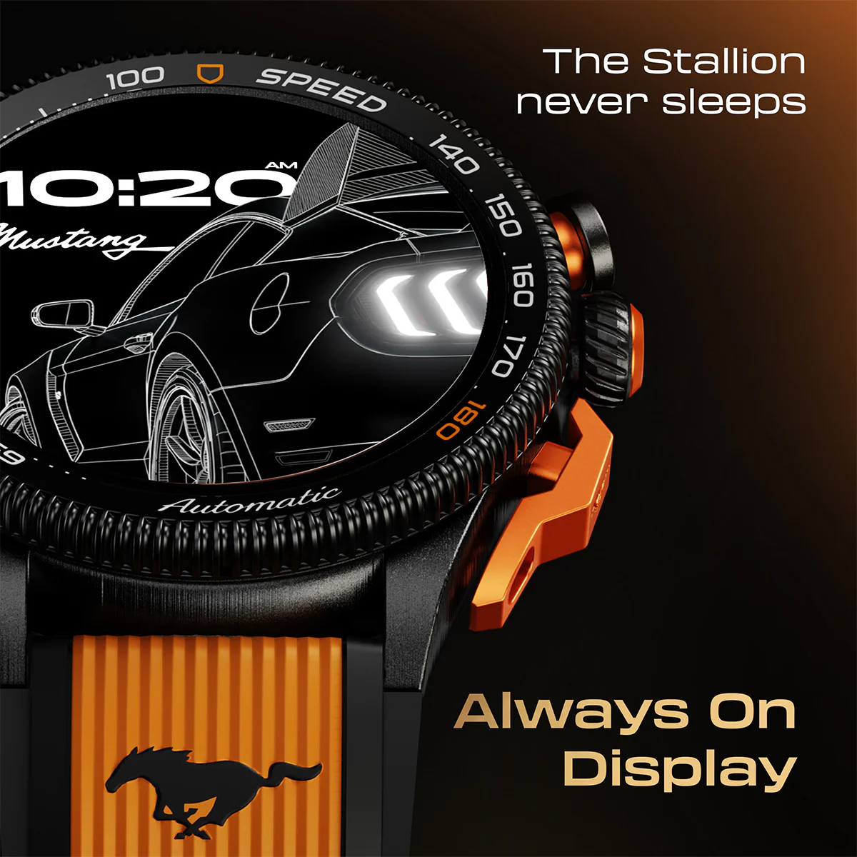 Mustang Stallion - Image 4